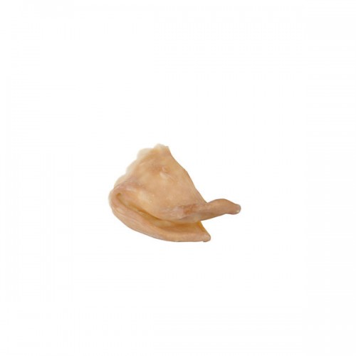Grimas Prosthetic - Duck Snout