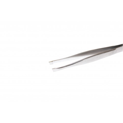 Hive Slanted Tweezers